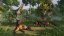 Planet Zoo: Tropical Pack (PC)