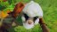 Aloft (PC)