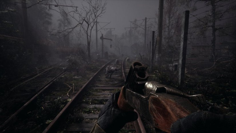 S.T.A.L.K.E.R. 2:  Cost of Hope (PC)