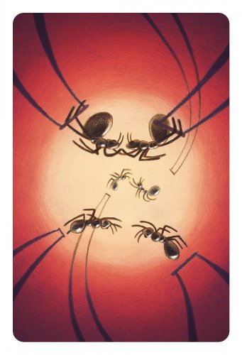 Dixit: 8. rozšíření - Harmonies