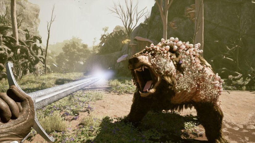 Avowed (PC/XBOX) - Edice: STANDARD