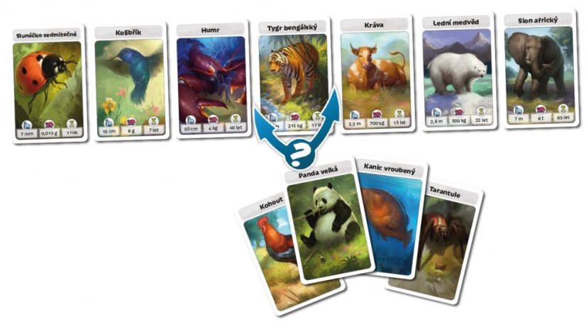 Cardline - Svět zvířat