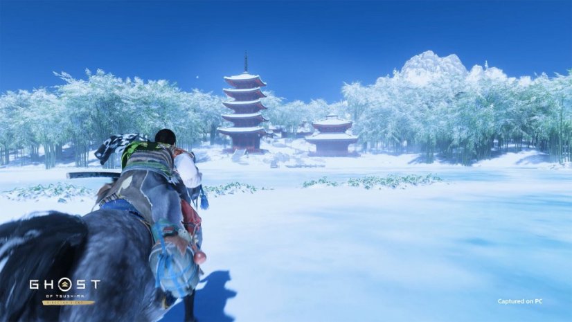 Ghost of Tsushima DIRECTOR’S CUT (PC)