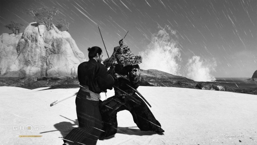 Ghost of Tsushima DIRECTOR’S CUT (PC)