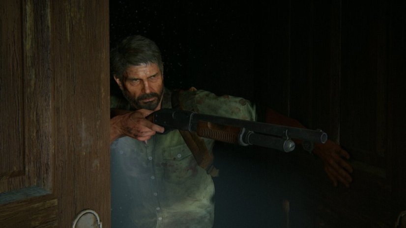 The Last of Us Part II Remastered (PC)