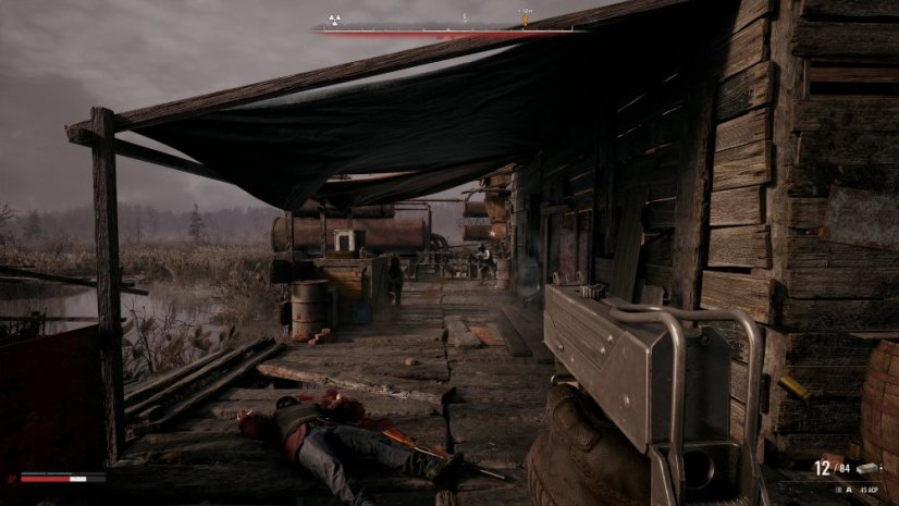 S.T.A.L.K.E.R. 2:  Cost of Hope (PC)