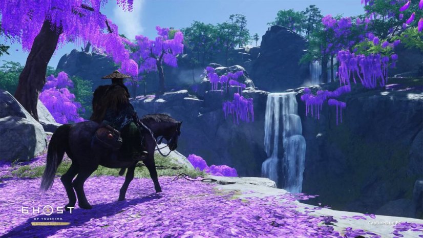 Ghost of Tsushima DIRECTOR’S CUT (PC)