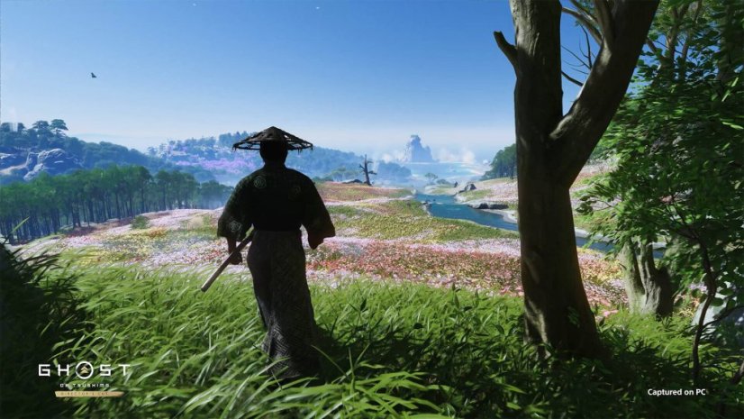 Ghost of Tsushima DIRECTOR’S CUT (PC)