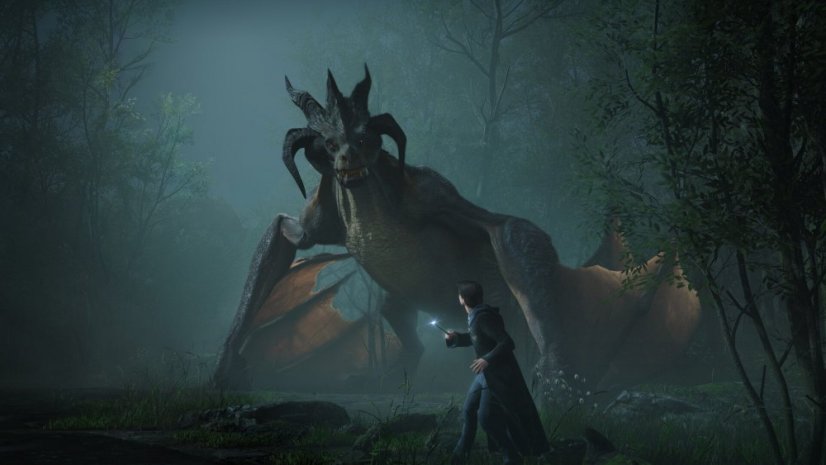 Hogwarts Legacy (PC)
