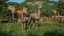 Planet Zoo: Barnyard Animal Pack (PC)