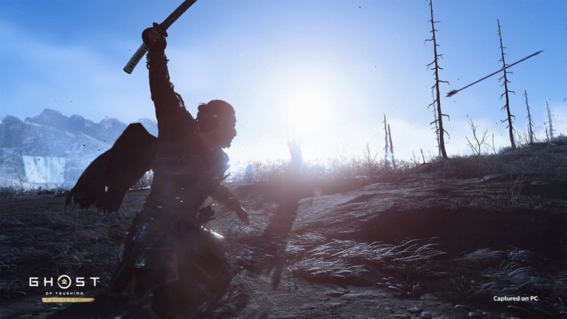 Ghost of Tsushima DIRECTOR’S CUT (PC)