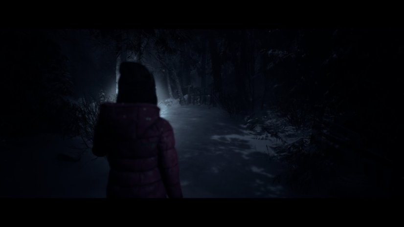 Until Dawn (PC)
