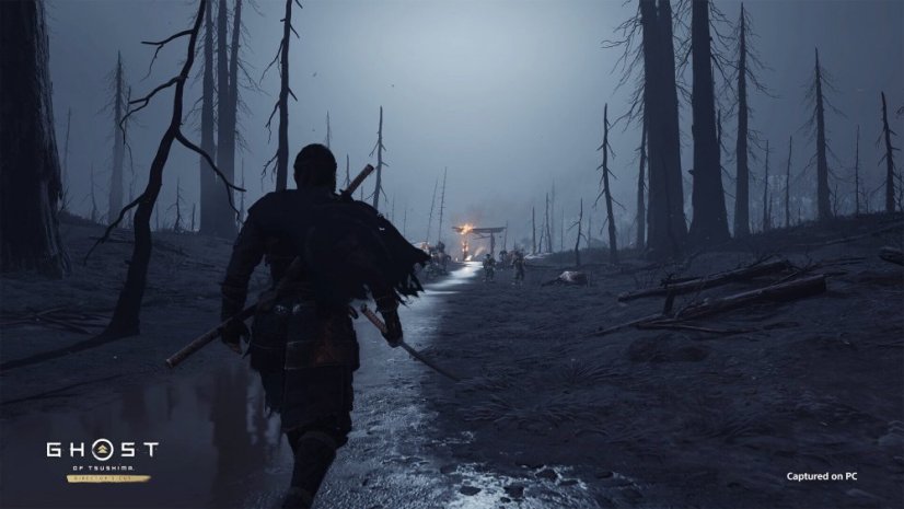 Ghost of Tsushima DIRECTOR’S CUT (PC)