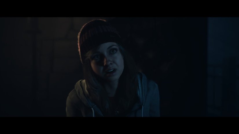 Until Dawn (PC)