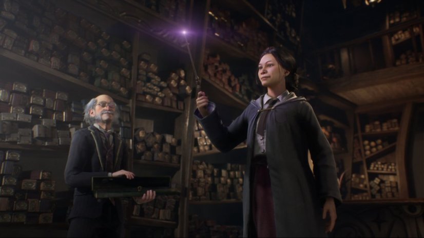 Hogwarts Legacy (PC)